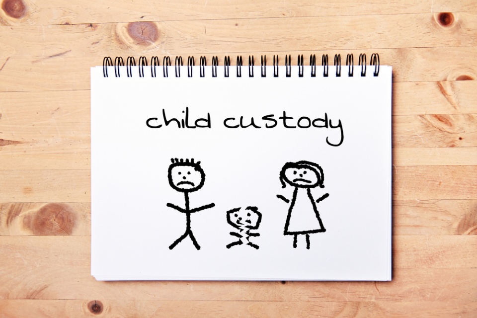 south carolina child custody